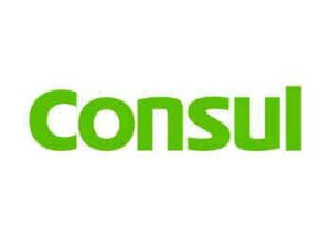 assistencia-tecnica-consul
